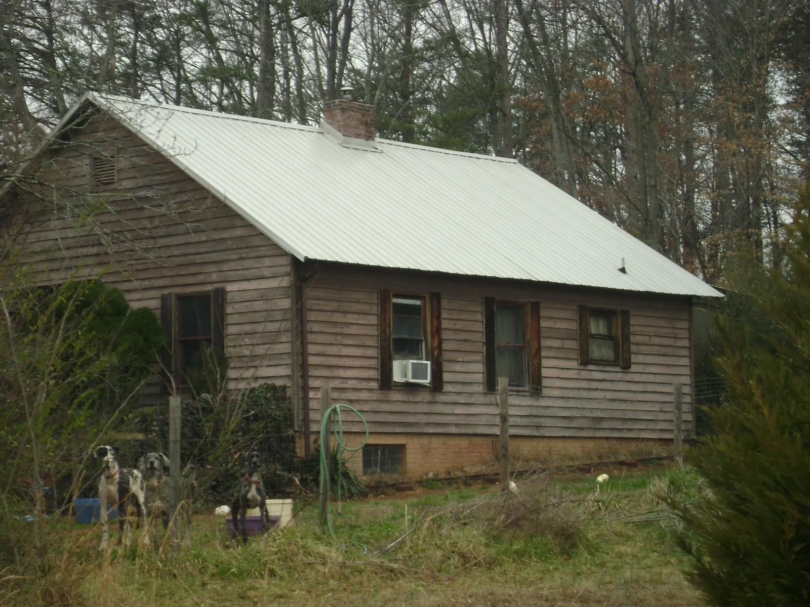 White metal roof on an old wood sided farmhouse, from a Asphalt Shingle Roof Repair job in Manitou Beach